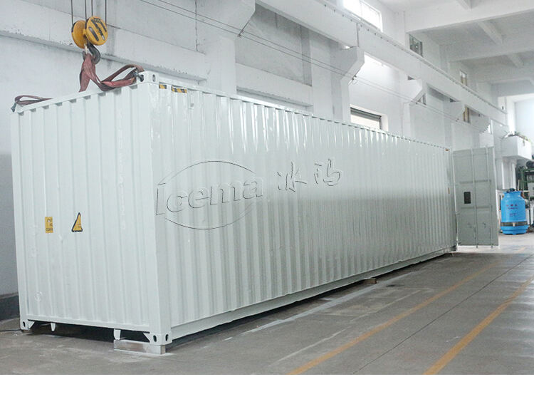 5 Ton Industrial High Productivity Container Block Ice Machine manufacture