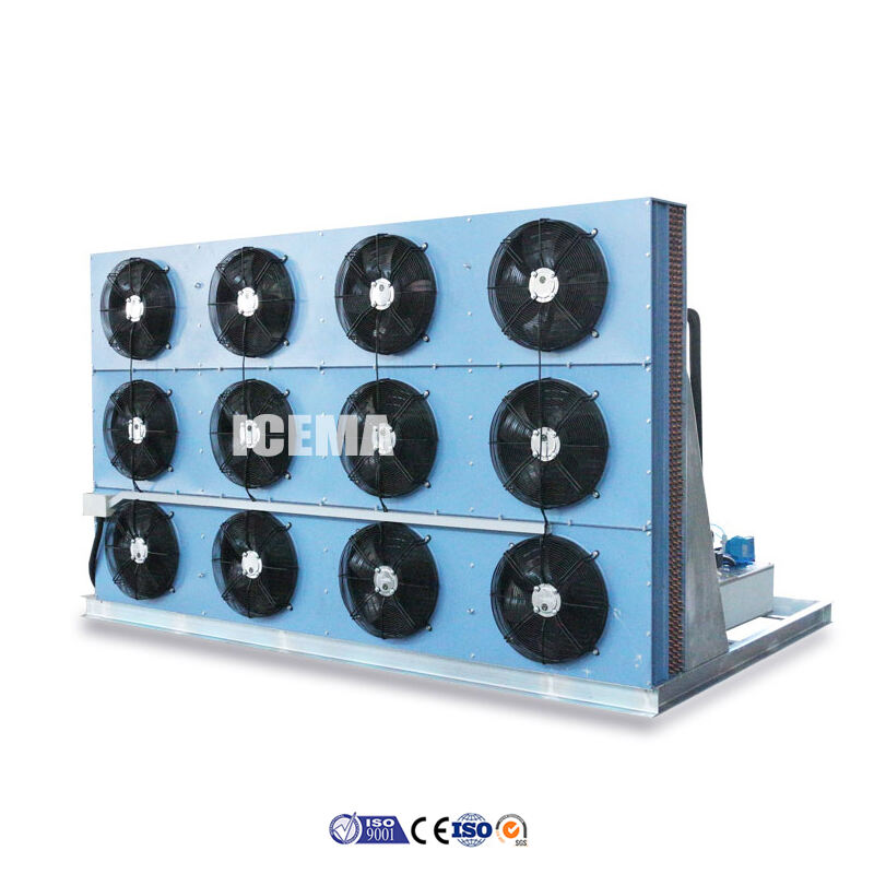 ICEMA 10T Ice Snow Flake Making Machine factory