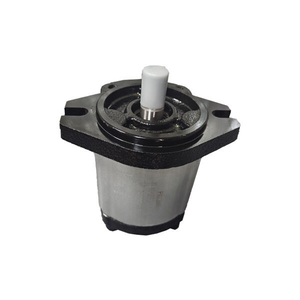 Scribendo Pompam Hydraulicaem Aptam Necessitatibus Specialibus Tractoris Tui