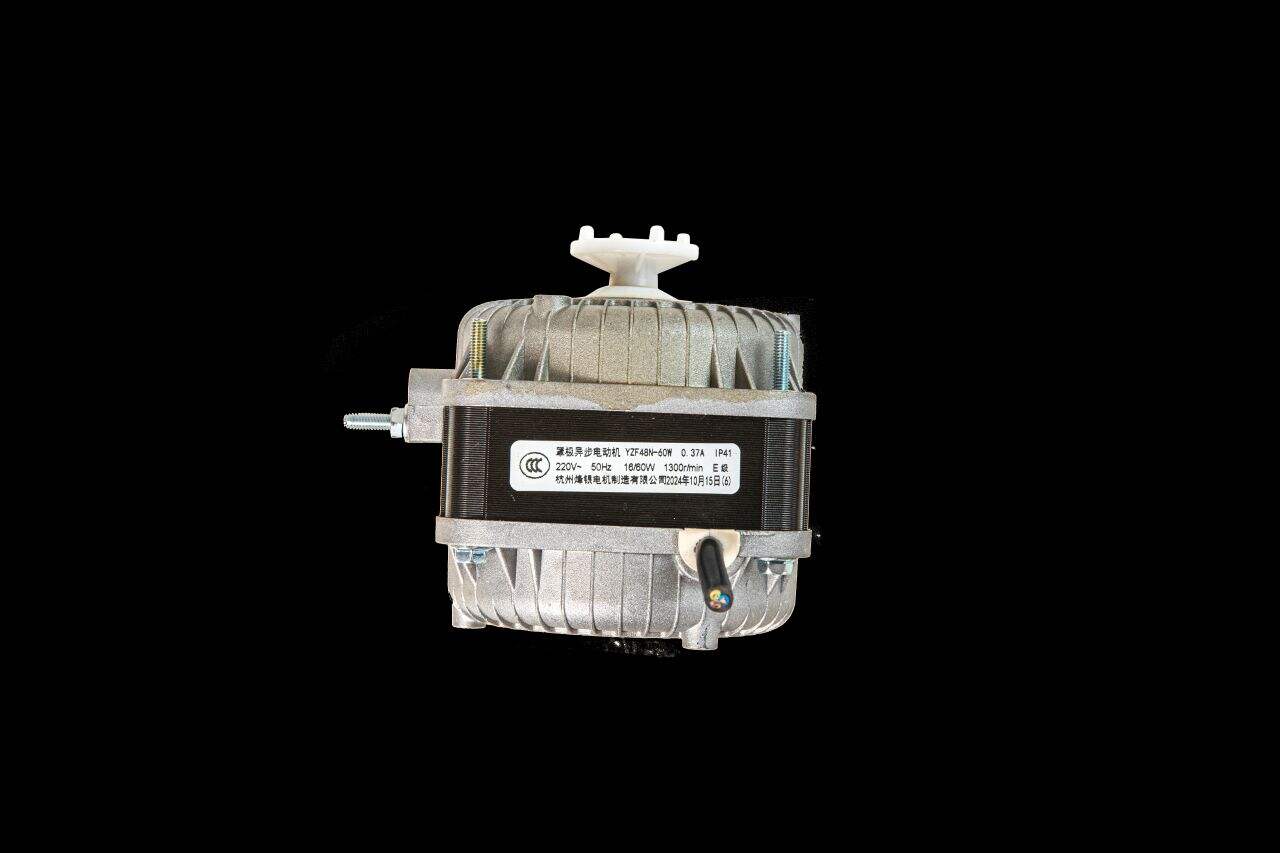 How to Maintain and Troubleshoot a 4 Pole Brushed DC Motor