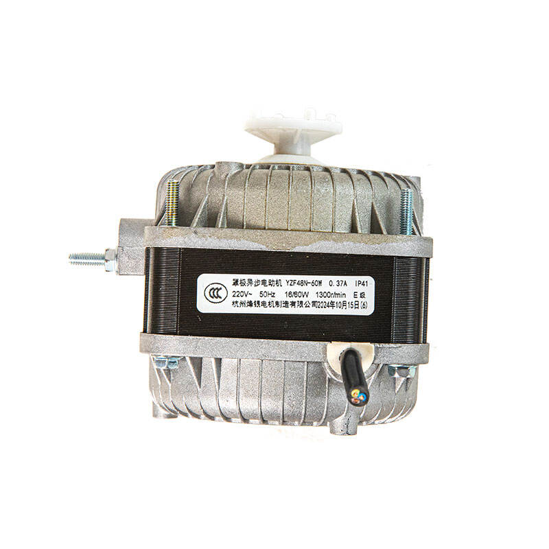 Comparing 4 Pole Brushed DC Motors to Other Motor Types