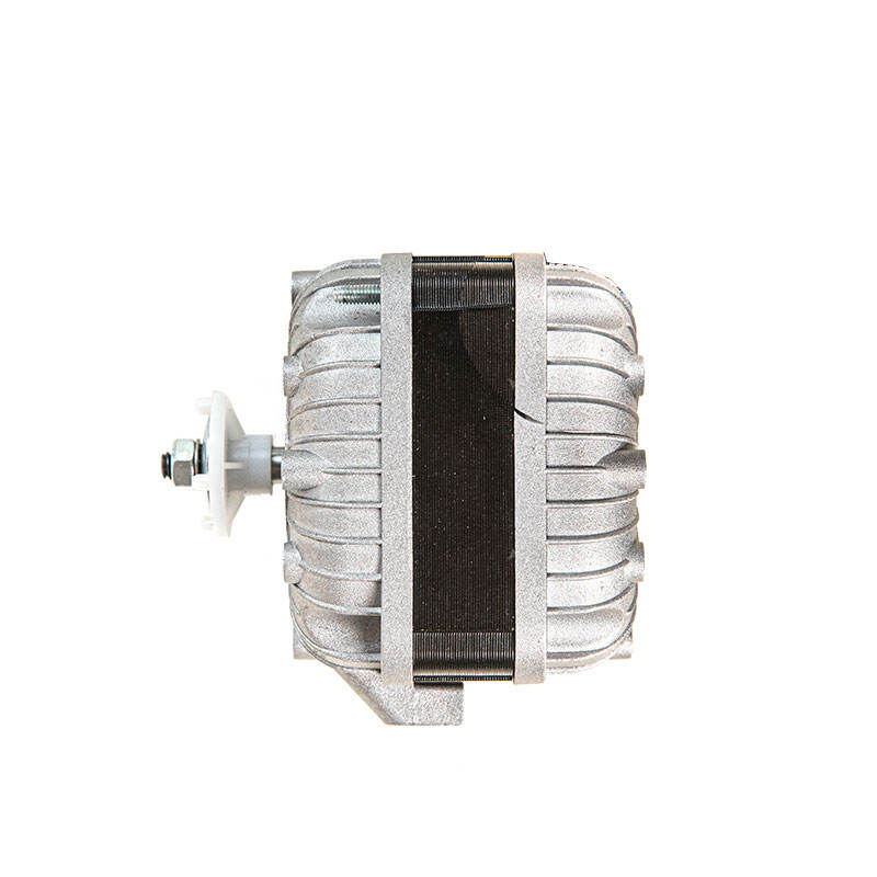 Діагностика та усунення поширених проблем двигунів з подвійною напругою