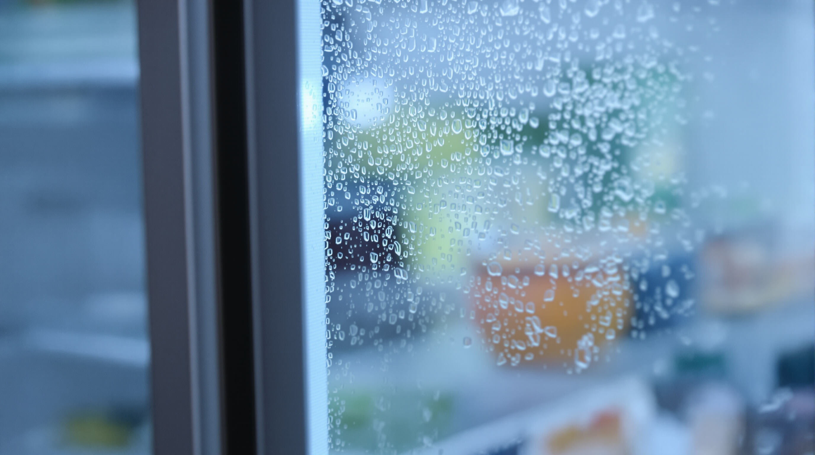 Close-up of a rubber gasket sealing a refrigerator door with subtle frost and condensation