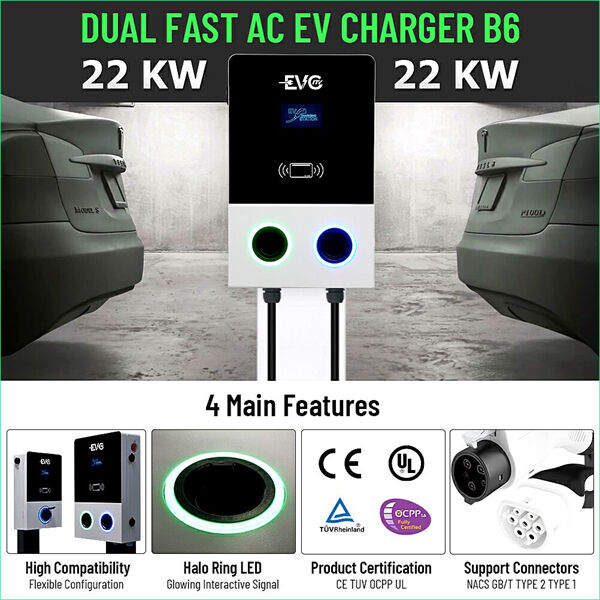 Save Time and Space with Our Dual Electric Car Charger