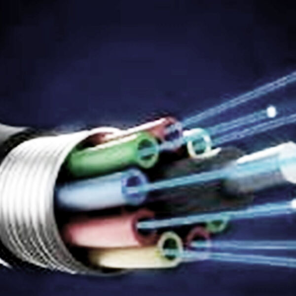 Safety Of E.O. Frequency Comb