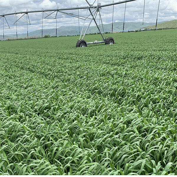 How to get the best deal on center pivot price?