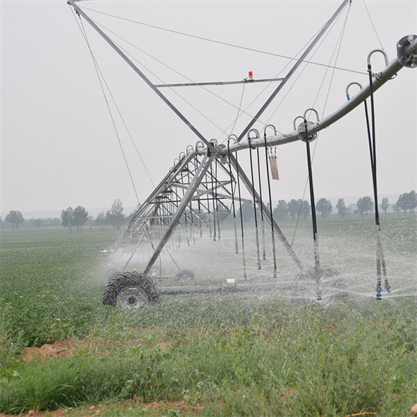 How Center Pivot Systems Save Water and Increase Productivity