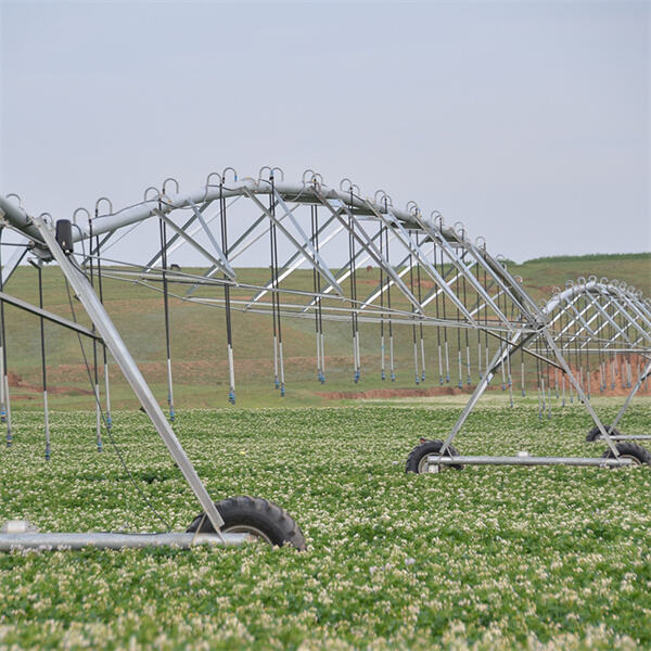 Budgeting for Installation and Maintenance of Pivot Sprinklers
