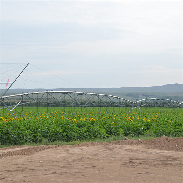 The Role of Pivot Point Irrigation in Conservation