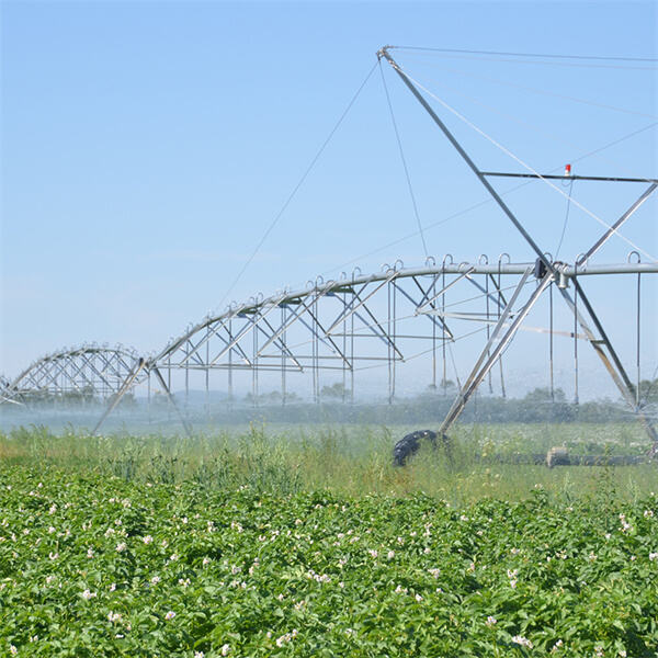 Քաշելի պիվոտ կանաչում համարյալության համար