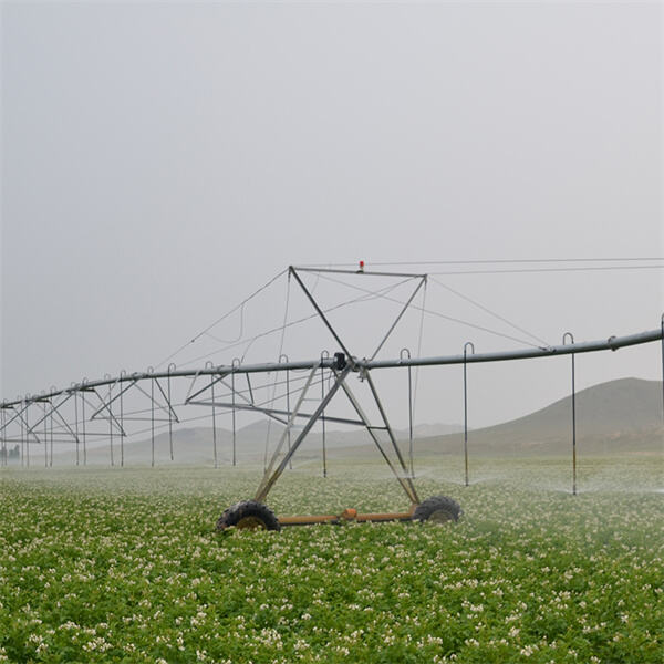 A Closer Look at Circular Pivot Irrigation