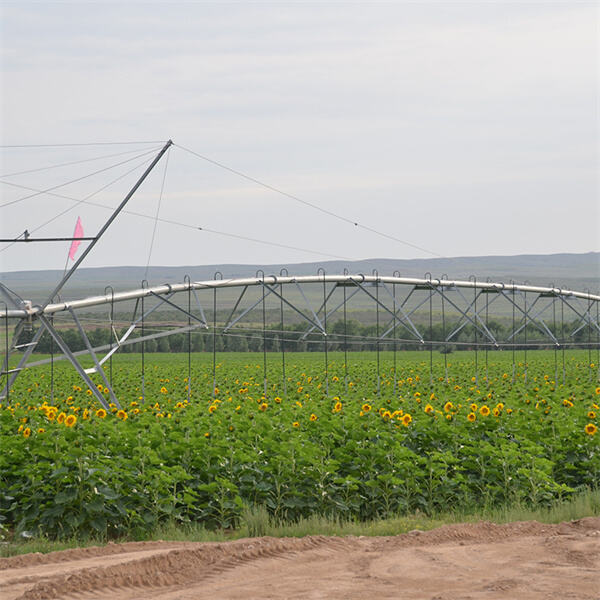 Enhancing sustainability on the farm through pivot irrigation