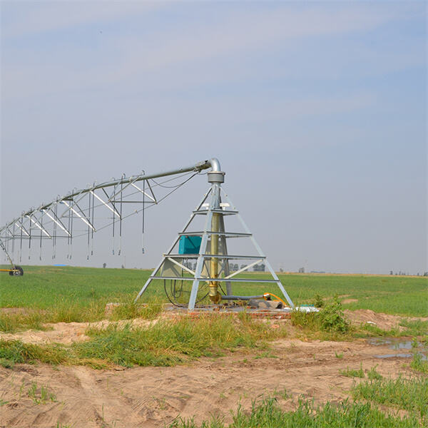 Efficiency and cost-effectiveness of central pivot irrigation systems
