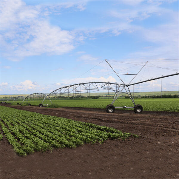 Valley Pivots as a Solution