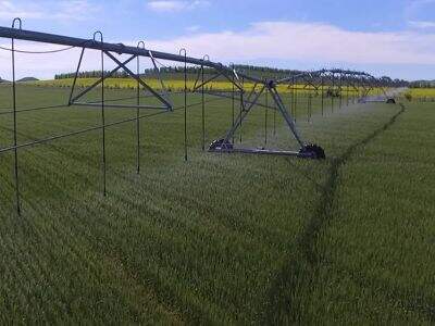 Saving Water with Pivot Irrigation: Smart Practices That Work