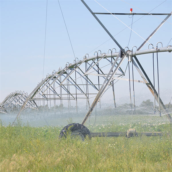 Common Issues and Maintenance Tips for Irrigation Pivot Systems