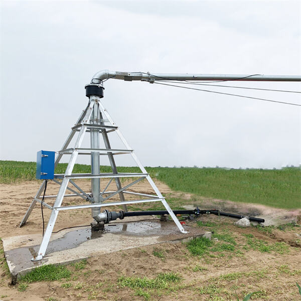 The Role of Valley Pivots