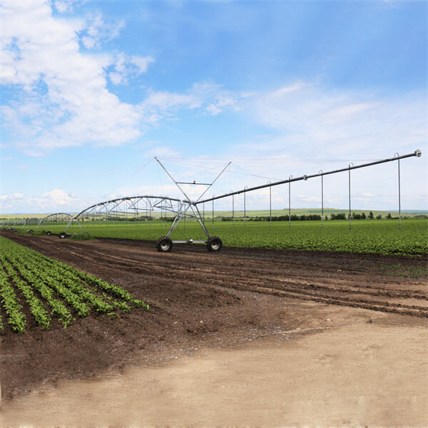 Maximizing Crop Yield with Valley Pivot Systems