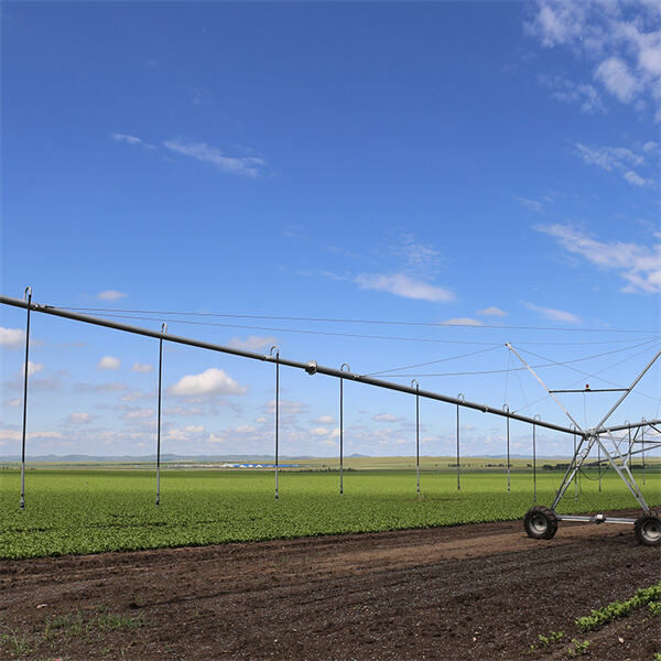 Training exercises to strengthen your pivot center
