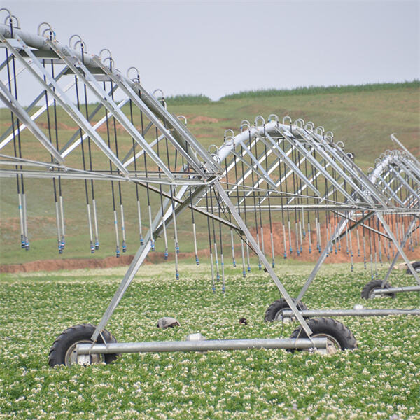 Exploring Financing Options for Irrigation Pivot Installation and Upgrades