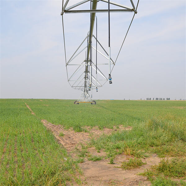 Maximizing Crop Yields with Central Pivot Irrigation