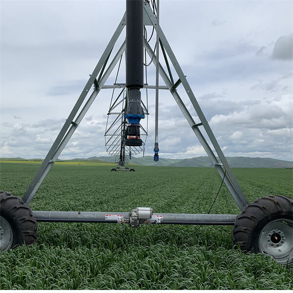 Conserving water and resources through smart irrigation
