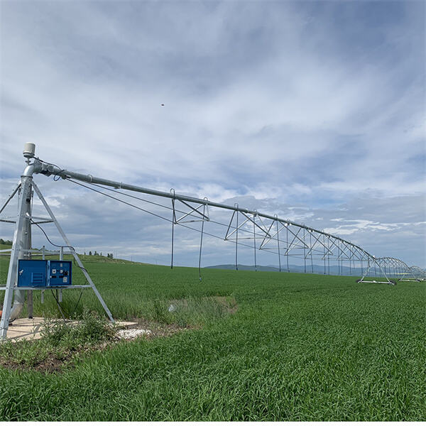 Enhancing farm productivity with automated sprinkler systems