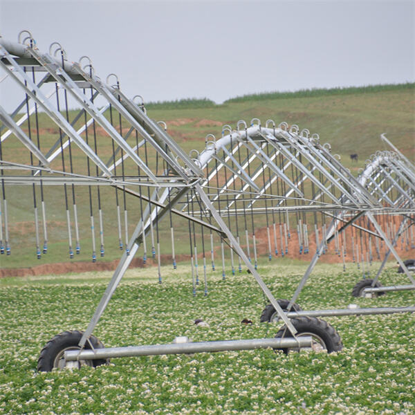 Budgeting for Maintenance and Repairs of an Irrigation Piv