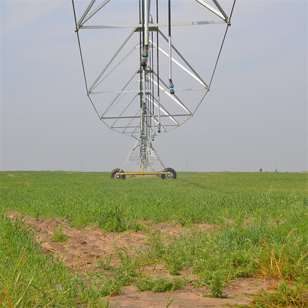 The Future of Sustainable Farming Practices