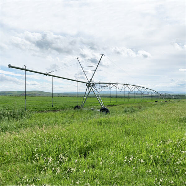 Invest in reliable irrigation equipment for your farm.
