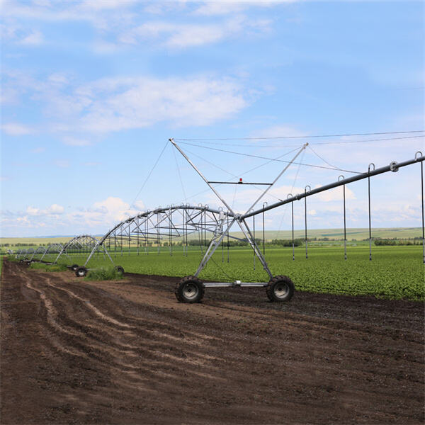 Improving efficiency and productivity with circular systems