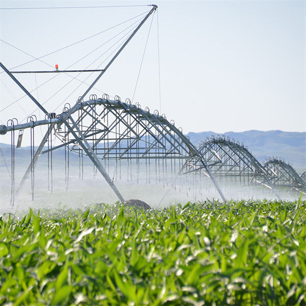 Maximizing crop yields with central pivot irrigation.