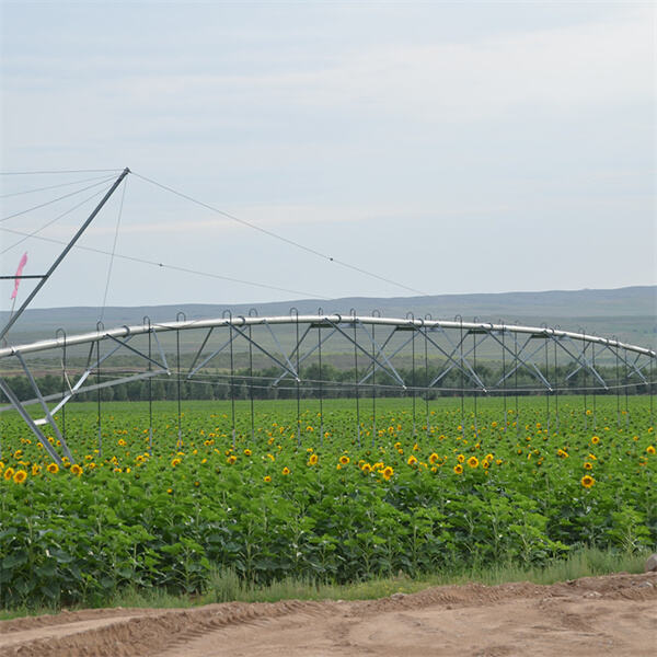 Enhancing Crop Growth with Pivot Point Systems