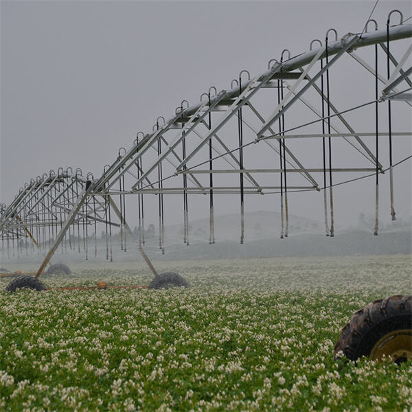 Enhancing farm productivity with Valley center pivot systems