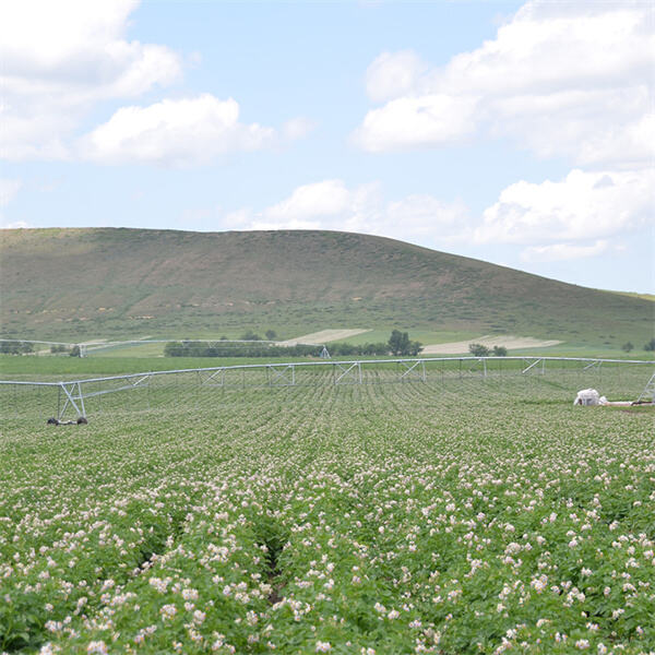 Enhancing crop health and growth with center point irrigation systems