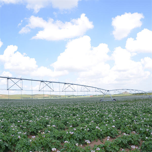 W bliższy sposób o irygacji z użyciem centralnego obrotu