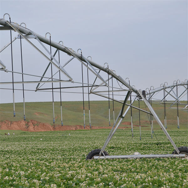 Examining the Return on Investment of Pivot Sprinkler Systems
