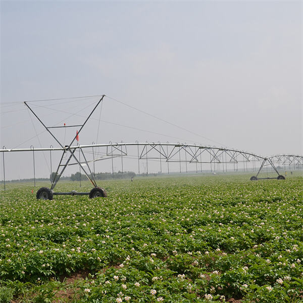 The Flexibility of Pivot Sprinkler Systems in Irrigating Various Crops