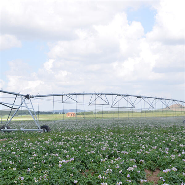 Badanie korzyści płynących z praktyk rolnictwa z centralnym obrotem