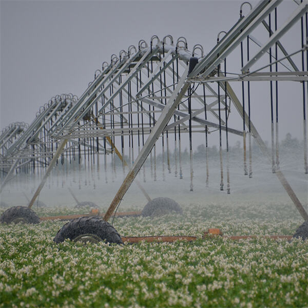 Sustainable farming practices with valley center pivot irrigation