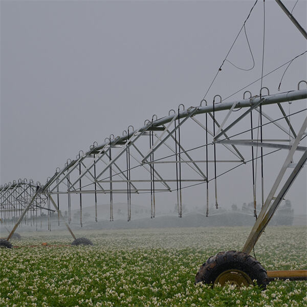 Sustainable farming practices with Valley center pivot irrigation
