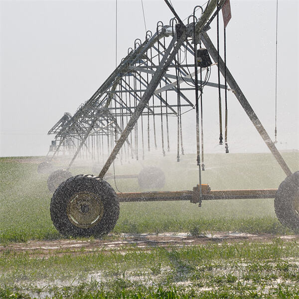 Environmental impact of central pivot irrigation