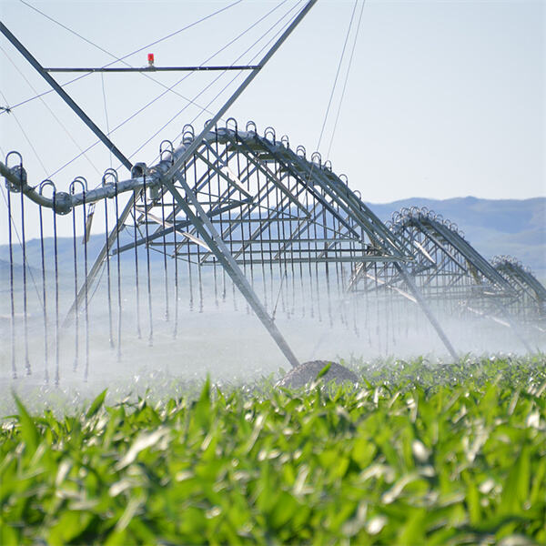 Water conservation benefits of central pivot irrigation.