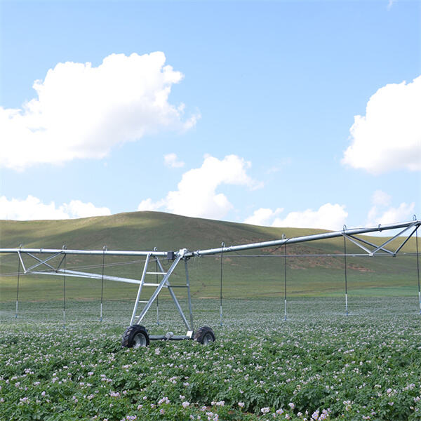 Rola systemów rolnictwa z centralnym obrotem