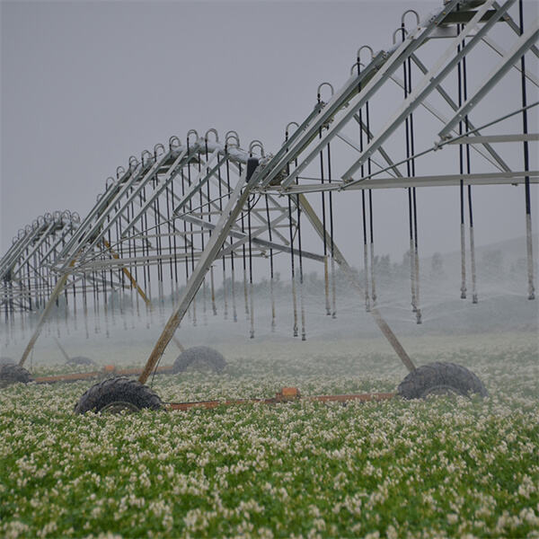 The role of valley center pivot irrigation