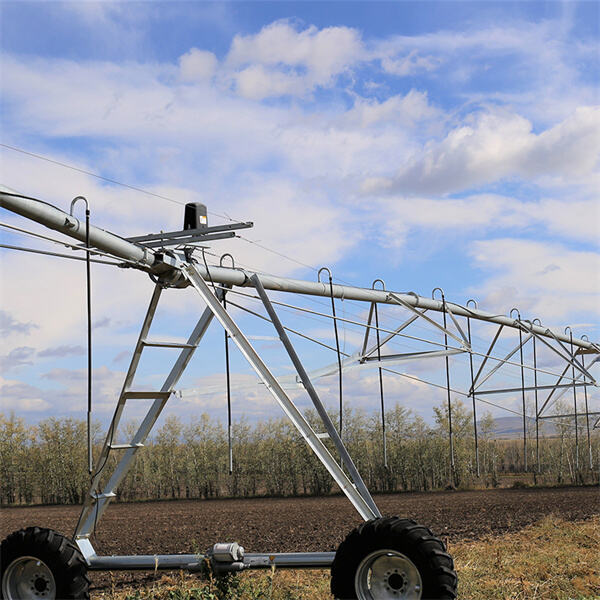 The importance of water management in agricultural irrigation