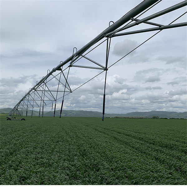 Precision watering tailored to specific crop needs
