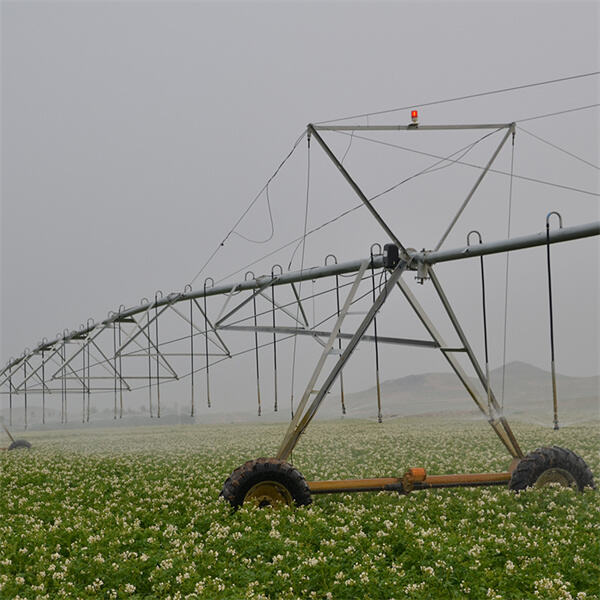 The Impact of Circular Pivot Irrigation on Farming Practices