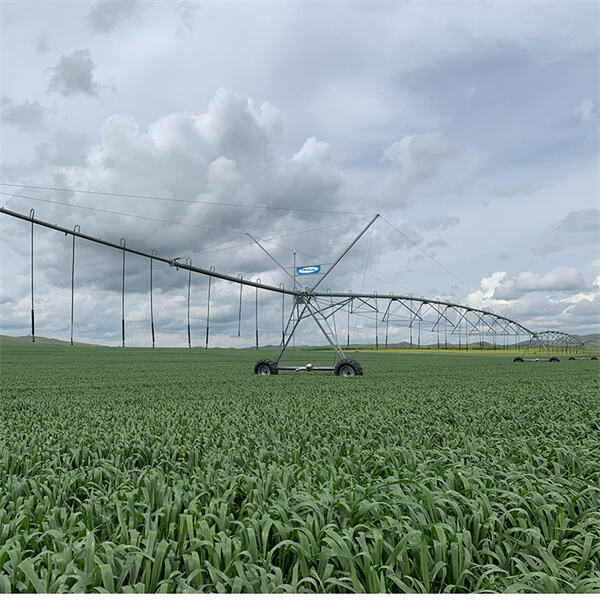 The Advantages of Solar Powered Center Pivot Irrigation