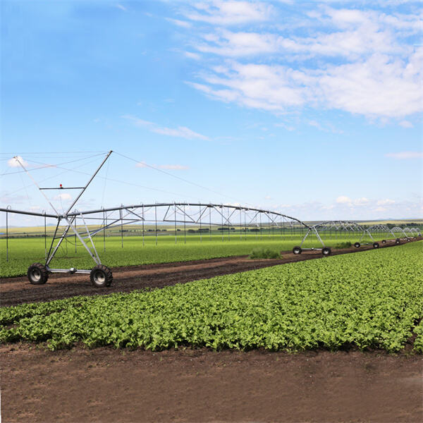 How Center Pivot Systems Revolutionize Agriculture